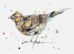 Original - The Ireland Collection - Skylark