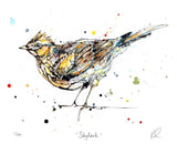 Print The Ireland Collection - Skylark - Limited Edition