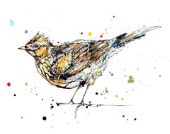 Print Ltd Edition The Ireland Collection - Skylark