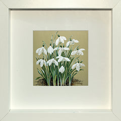 Snowdrops 5