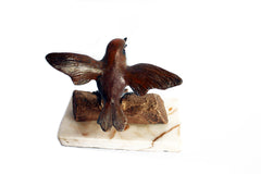 Sparrow On Log