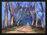The Dark Hedges