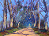 The Dark Hedges
