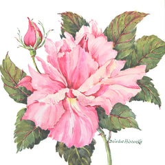 The First Rose Of Summer