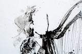 Original - The Ireland Collection - The Quiet Of Strings