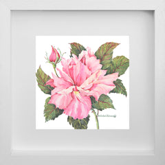 The First Rose Of Summer