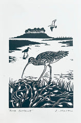 Three Curlews