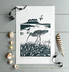 Three Curlews