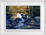 Tollymore Forest Park