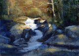 Tollymore Forest Park