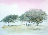 Print - Tyrella Trees - Limited Edition