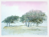 Print - Tyrella Trees - Limited Edition