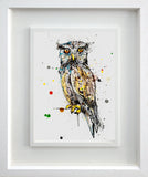 Original - The Ireland Collection - Twit Twoo