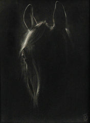 The Watcher Of The Stars