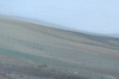 Wet Ground And Gorse, Mournes