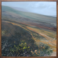 Wet Ground And Gorse, Mournes