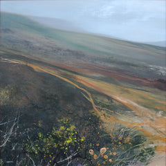 Wet Ground And Gorse, Mournes