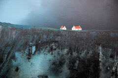 Original - Where The Puffins Roam (Diptych)