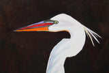 White Egret