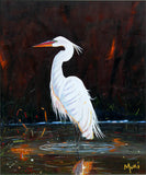 White Egret