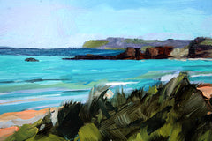 Whitepark Bay