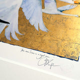 The Book Of Birds - Whooper Swan - Premium Edition