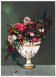 Winter Blooms