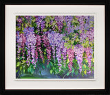 Print - Wisteria Lane