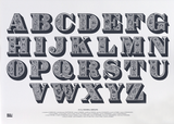 Animals - A-Z of Animal Groups Unframed