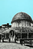 Botanic Gardens In Blue