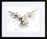 Print Ltd Edition Animals - Accomplish - Black Wide Box Frame