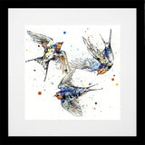 Print Open Edition Animals - Affinity-30 x 30-Black Box Frame (With Mount)