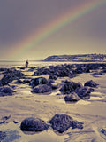 Rainbow Over The Rocks, Drains Bay Unframed