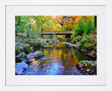 Co Down - Mournes - Tollymore Forest Park - White Box Frame