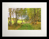 Other - Autumn at Birch Lane-Flat Black Frame-60x47.5