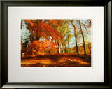 Co Down - Autumn Sun Clandeboye Frame Black Moulded 60x47.5