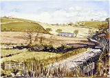 Autumn Sunshine Comber