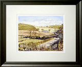 Autumn Sunshine Comber Framed
