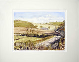 Autumn Sunshine Comber Unframed