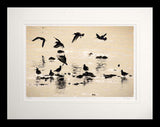 Other - Ballet in Silhouette Flat Black Frame 60x47.5