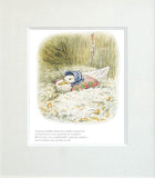 Jemima Was Surprised To Find Such A Quantity Of Feathers Unframed