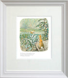 Peter Rabbit Framed