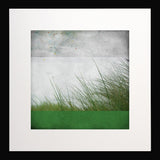 Ben Prairie Black frame