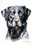 Animals Dog - Black Labrador Unframed