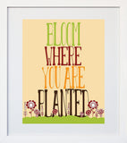 Bloom where You Are Planted-Standard-White Box Frame