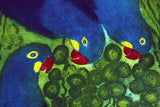 Blue Macaws