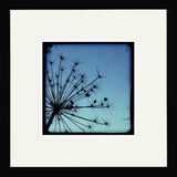 Stalks in Blue Framed
