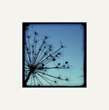 Stalks in Blue Unframed
