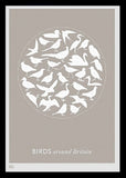 Animals - Birds Around Britain (Stone) Black frame