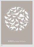 Animals - Birds Around Britain (Stone) Unframed